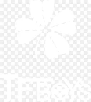 �ֻ���Ҷ�ݱ�ƽ-������