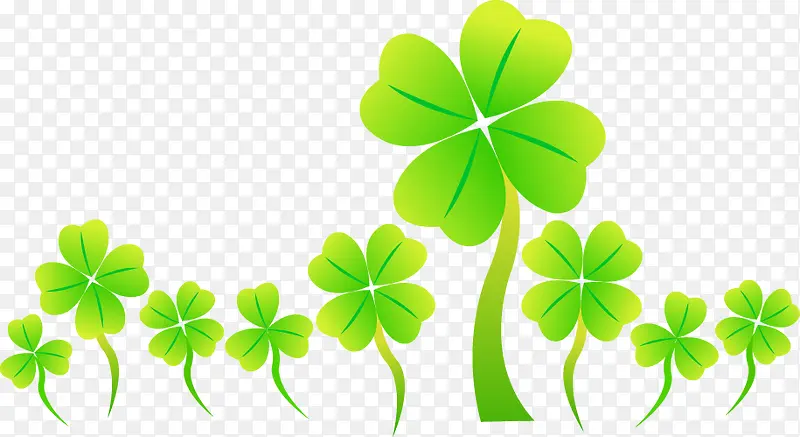 ��ͨ������Ҷ��-������