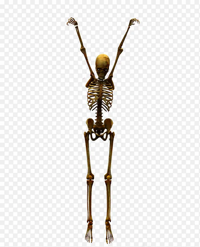 ����-������