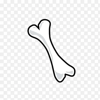 ��ɫ��ͨ��ͷ-������