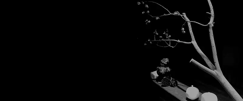 �ڻ�ɫ��Լ��֦��ֽ-������