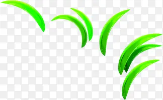 �̲���Ҷ����ͼƬ-������