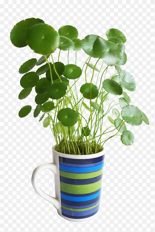 ͭǮ��װ������ز�-������