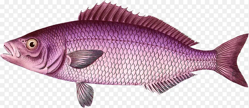 ��ͨ�ֻ���-������