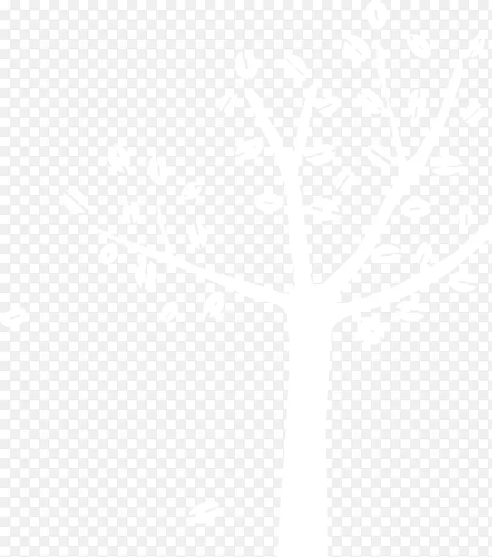 ��ɫ��ͨ����������֦-������