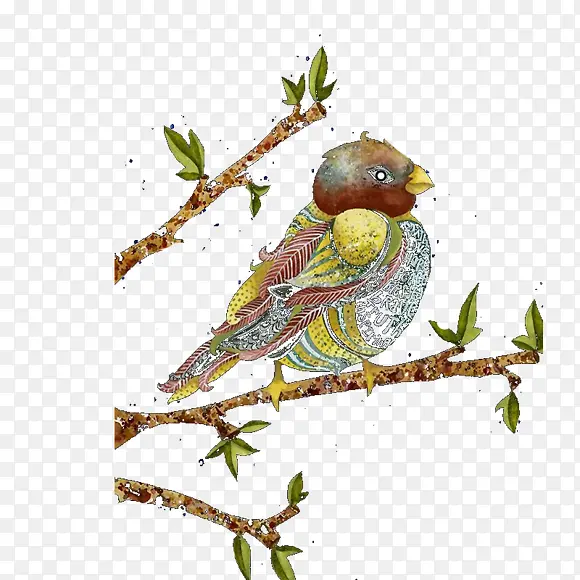 ˮ��С�� ��֦-������