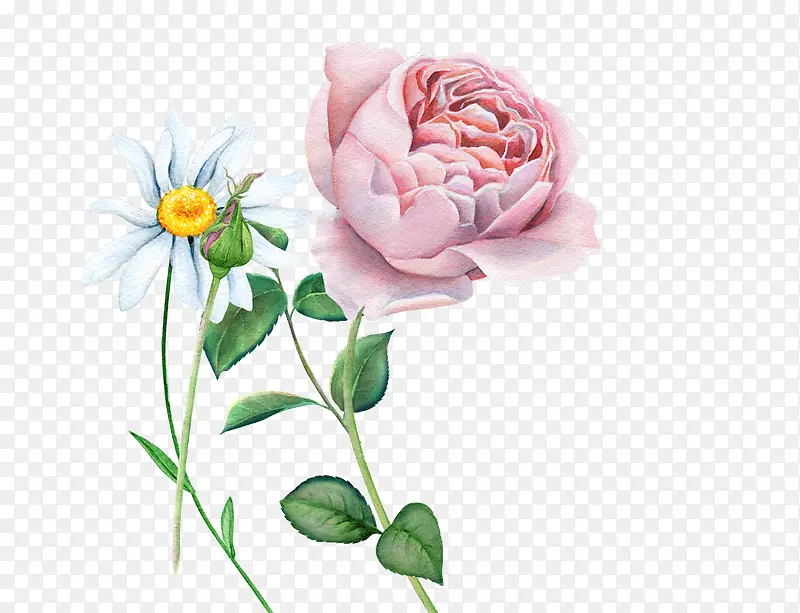 ˮ���ֻ�õ��-������