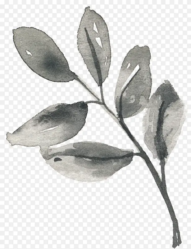 �ֻ�ˮ�ʺ�ɫҶ��-������