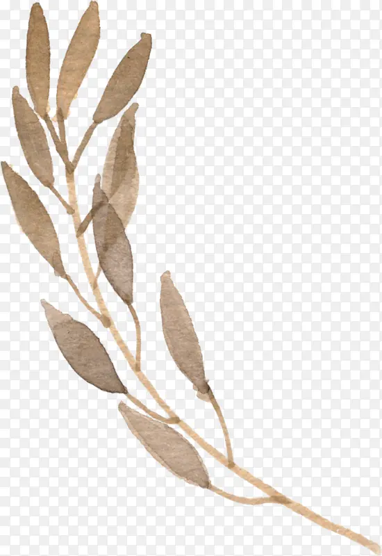 �ֻ�ˮ����ɫҶ��-������