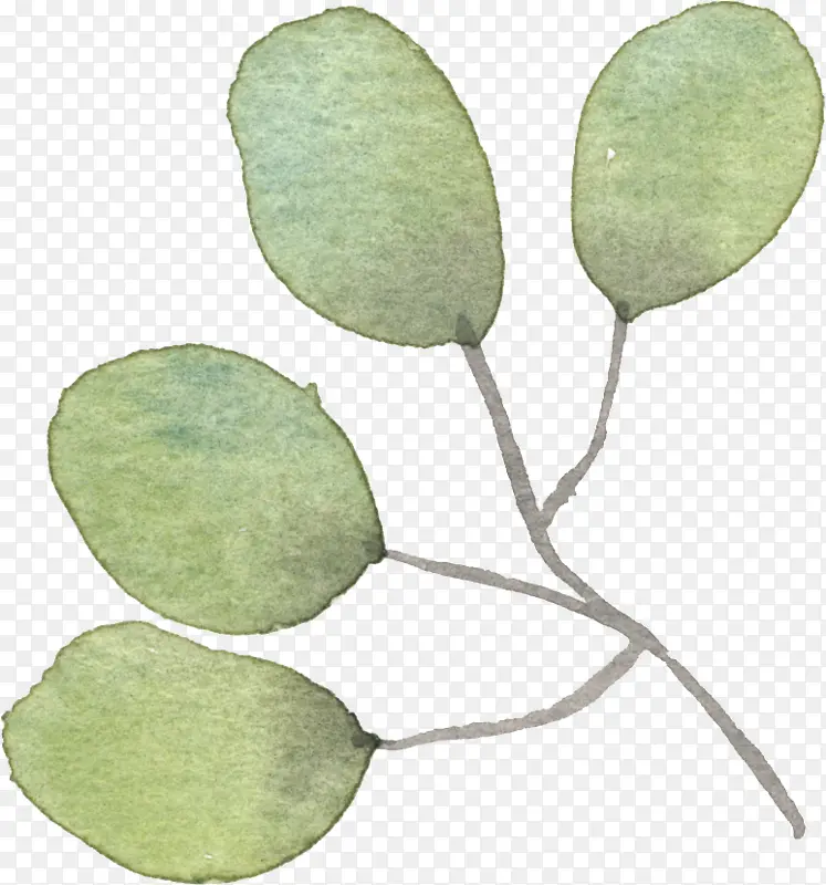 �ֻ�ˮ�ʵ���Ҷ��-������