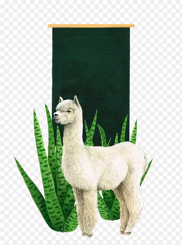 ���� ������ ֲ�� ���-������