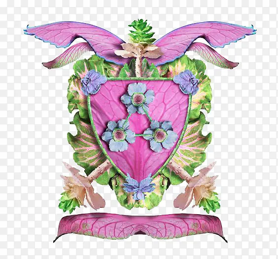 �����ڹ�-������