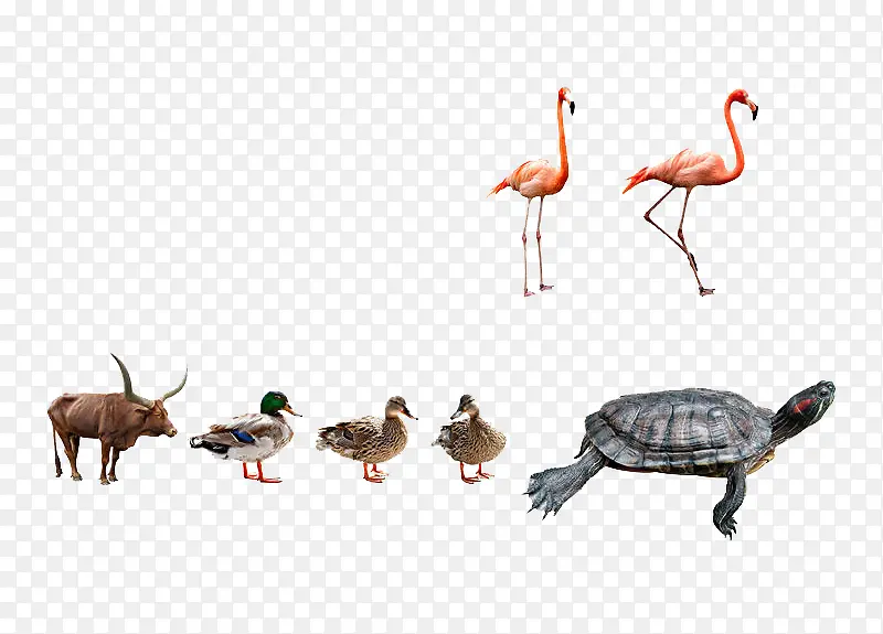 ���ֶ���-������