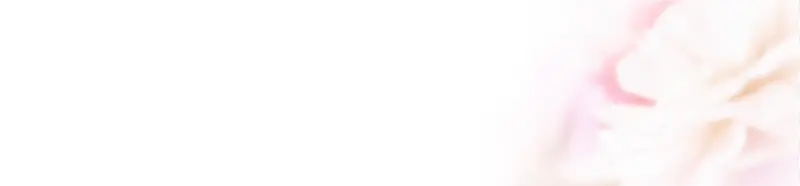 ����ϳ�Ч����չ-������