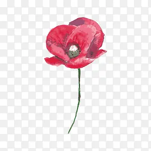 �ֻ滨��-������