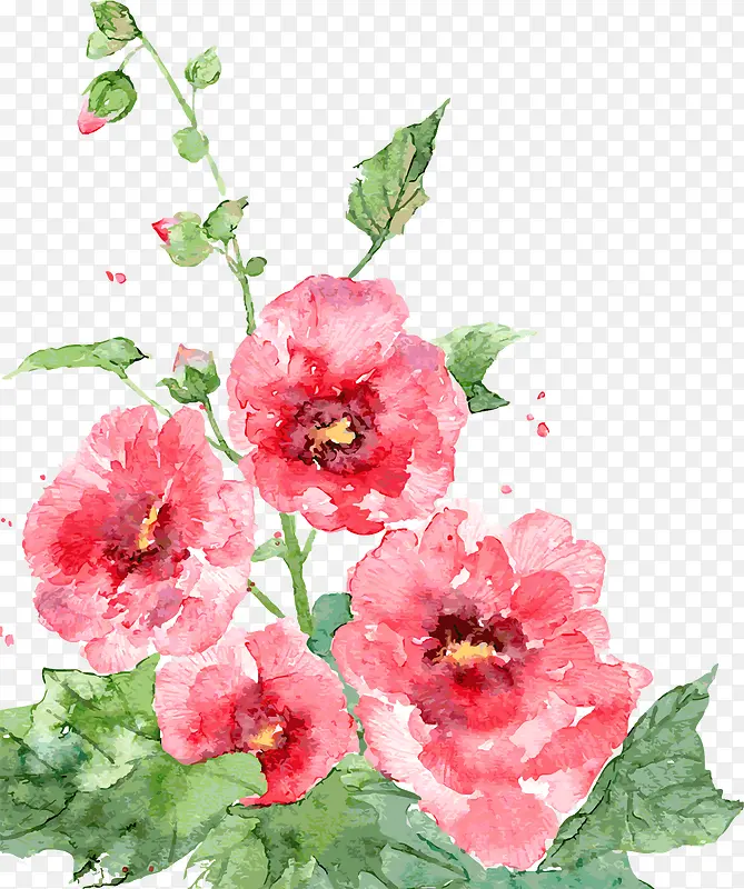 �ֻ洺��ˮ��õ��-������