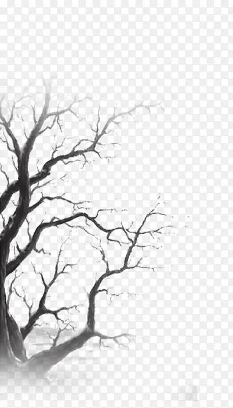 ��֦-������