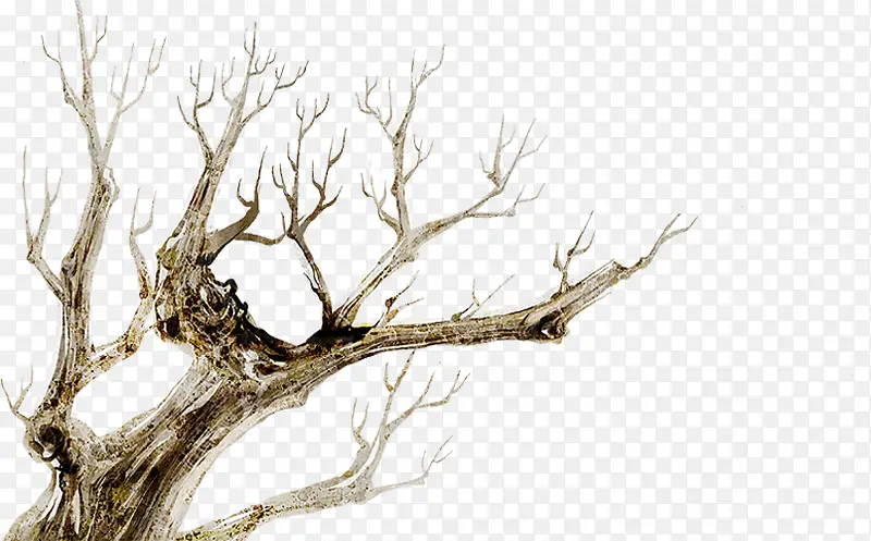 �廭������������-������