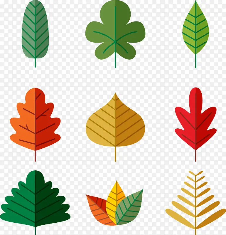 ��ƽ��װ����Ҷ-������