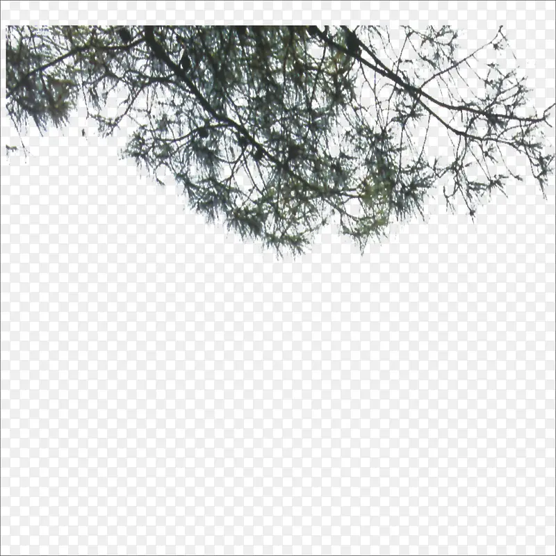 ��-������