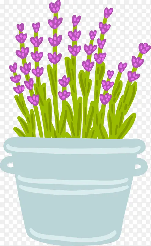 ʸ��޹�²�-������