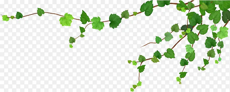 ��֦-������