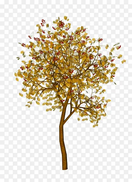 ���͸������Ҷ��֦-������