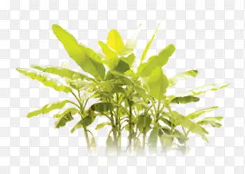 ֲ��Ž���-������