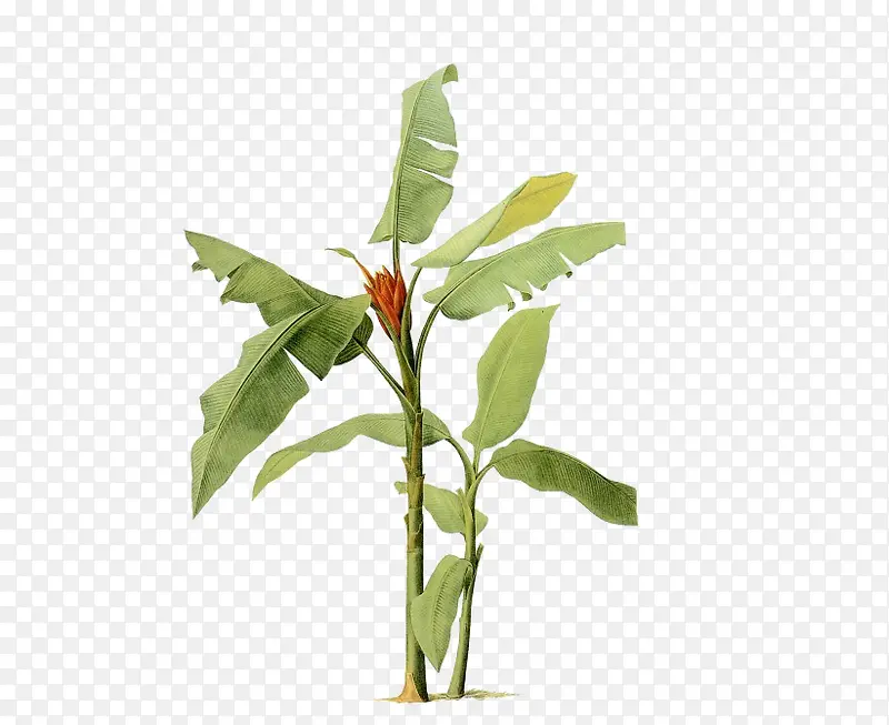 �Ž���-������