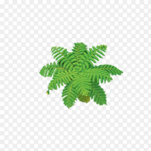 ��ɫ�Ž���ͼ-������