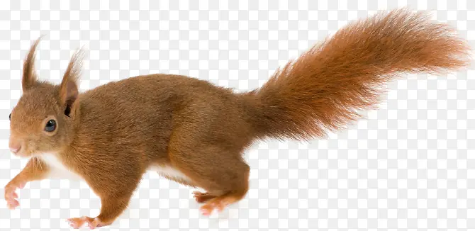 �ɰ���ͨ����-������