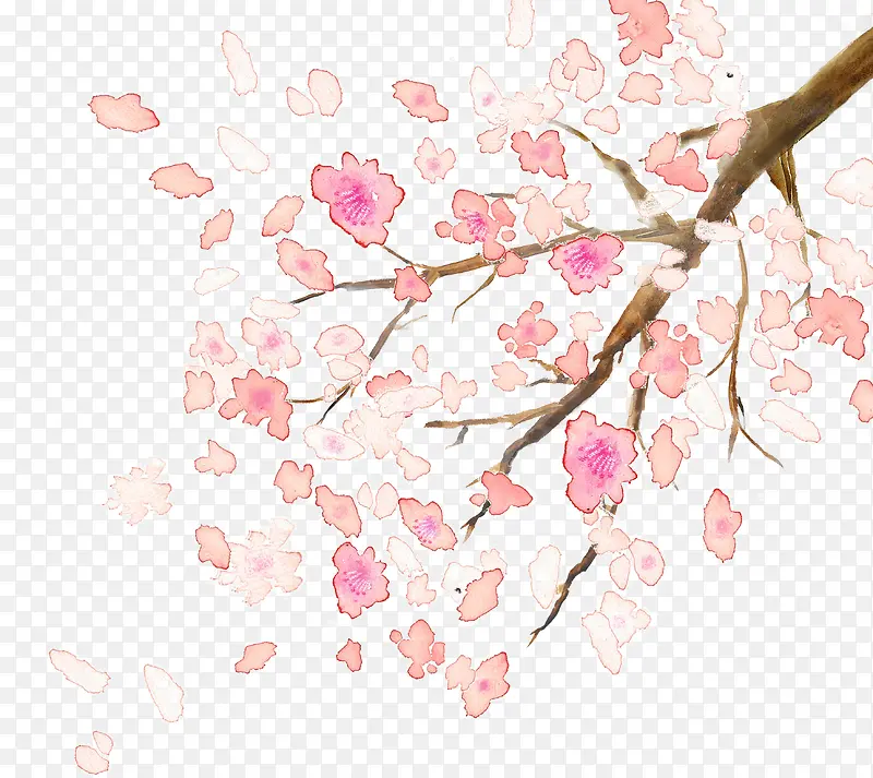 ��֦ ����֦-������