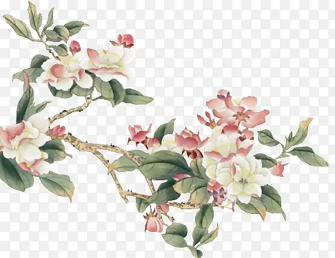 �ŷ绨����֦-������