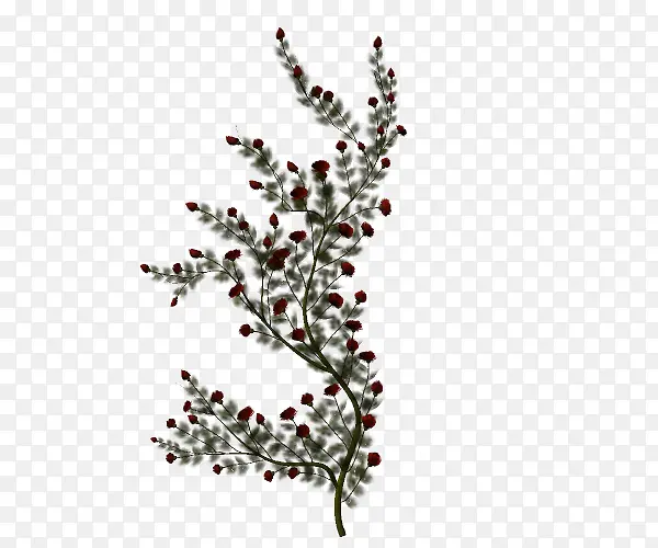 ������֦����װ��-������