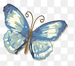 �ʻ��������-������