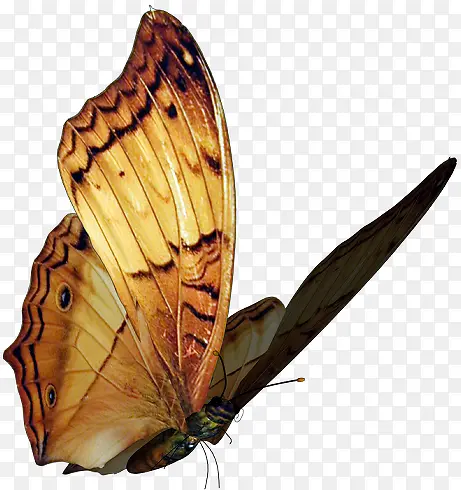 ��������-������