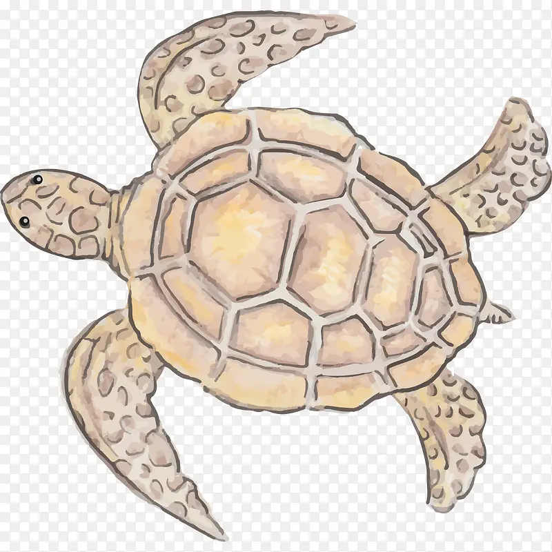 ����-������