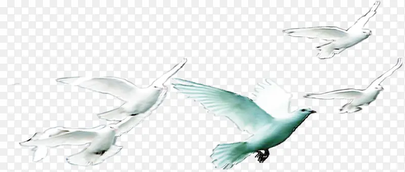 ��ɫ��ƽ��Ч����ɫ-������