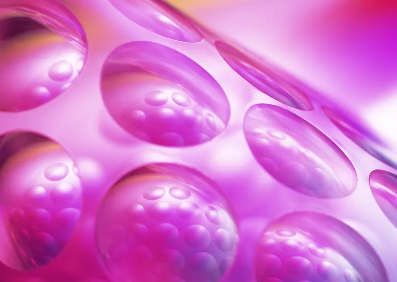 IT�����ز�008-������