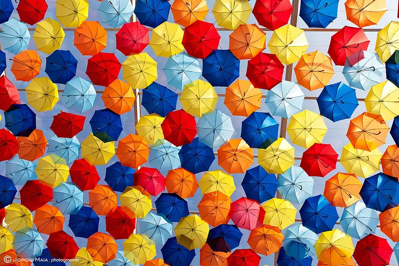 ���۱�����ɫ��ɡ-������