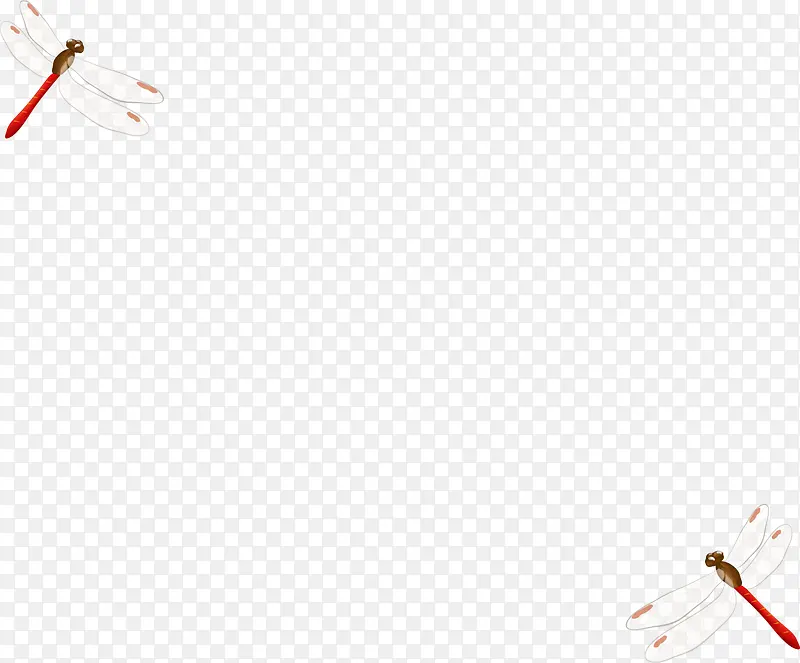 ����Ư��-������