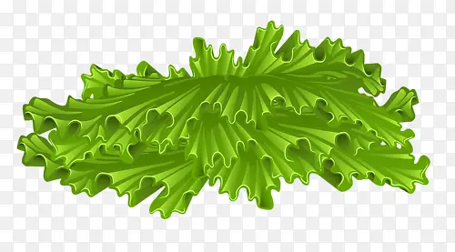 ��Ҷ-������