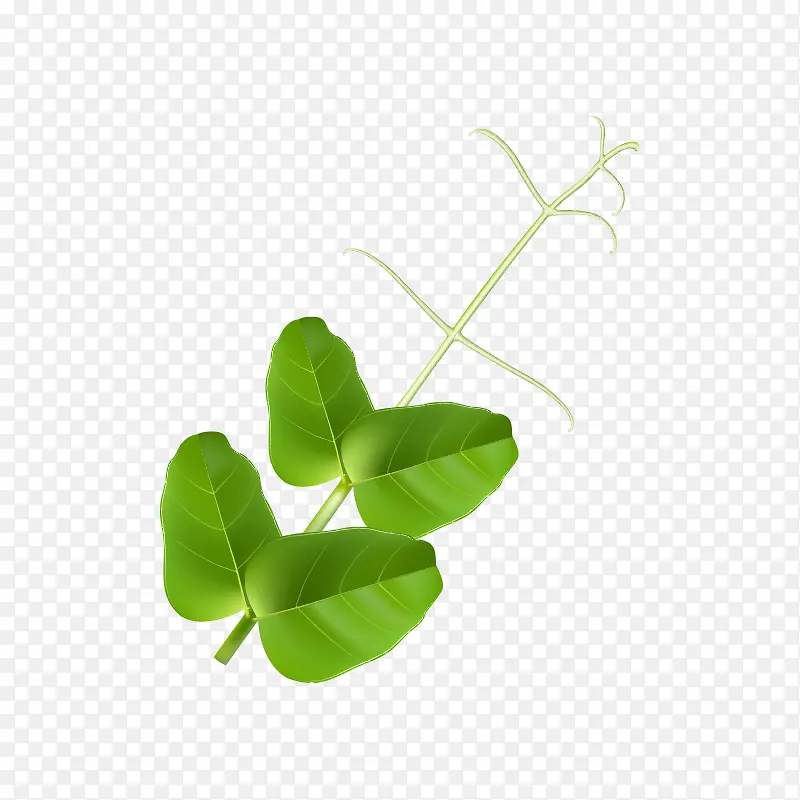 �߲� ����ʳ��-������