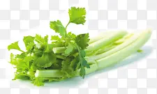 ��ɫ�߲�-������