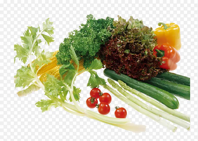 ��ɫ�߲�-������