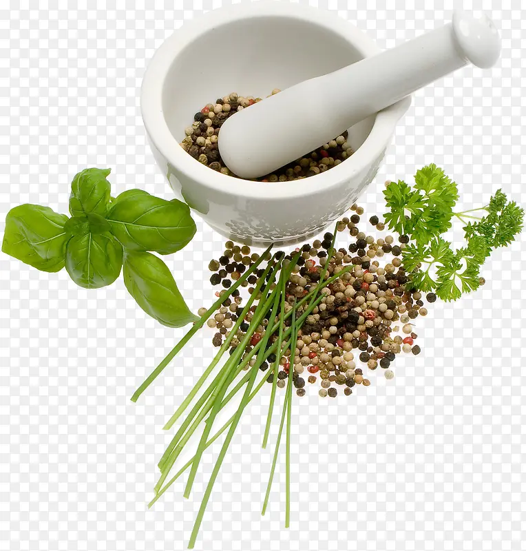 ������ɫ��Ҷʳ��-������