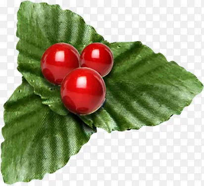 ��ɫ�ݱ�ֲ��ˮ����Ӱ-������