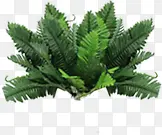 ������Ӱ��ɫ�ݱ�ֲ��-������