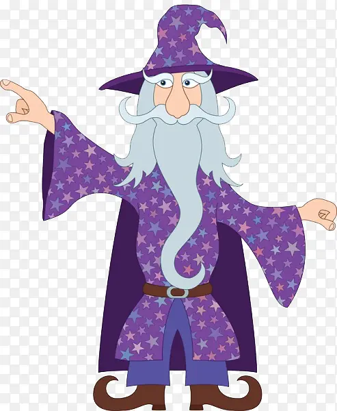 ��ʦ��ָ-������