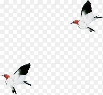 ˮī�ŵ�С��ɰ�-������